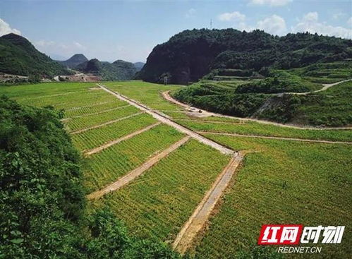 湖南生態環境保護 以“人民戰爭”匯聚磅礴力量，筑牢生態安全屏障