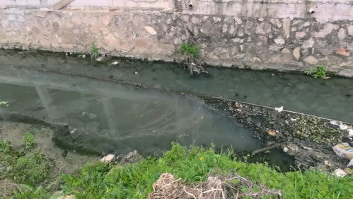 江西城市生活污水處理 頑疾為何久拖不治？