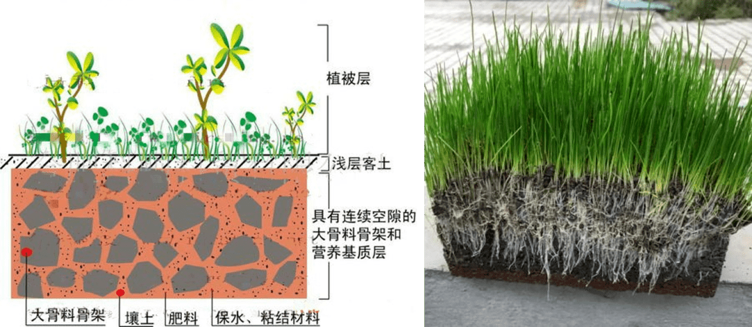 植生混凝土 應用前景廣闊的環境友好型護坡材料